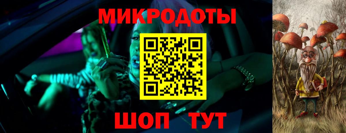 Черняховск  Псилоцибиновые грибы Psilocybe  Вход с VPN 